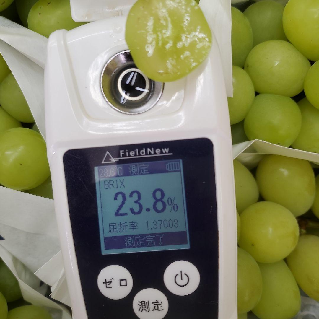 2️⃣ 山梨県産 激甘 シャインマスカット １０房入り 箱込み4.9キロ