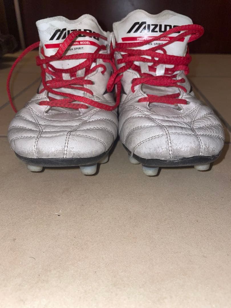 p*r様 モレリアネオ3