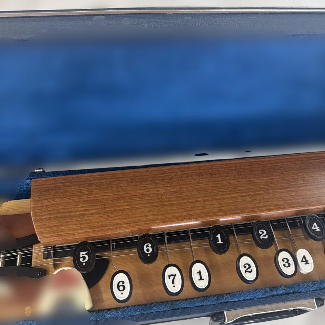 三味線 専用ケース付き