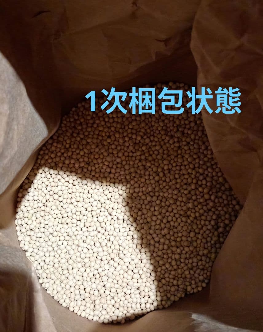 大豆 長野県産大豆　2025年産薬品磨き不使用　中粒加工用　少し訳あり10kg