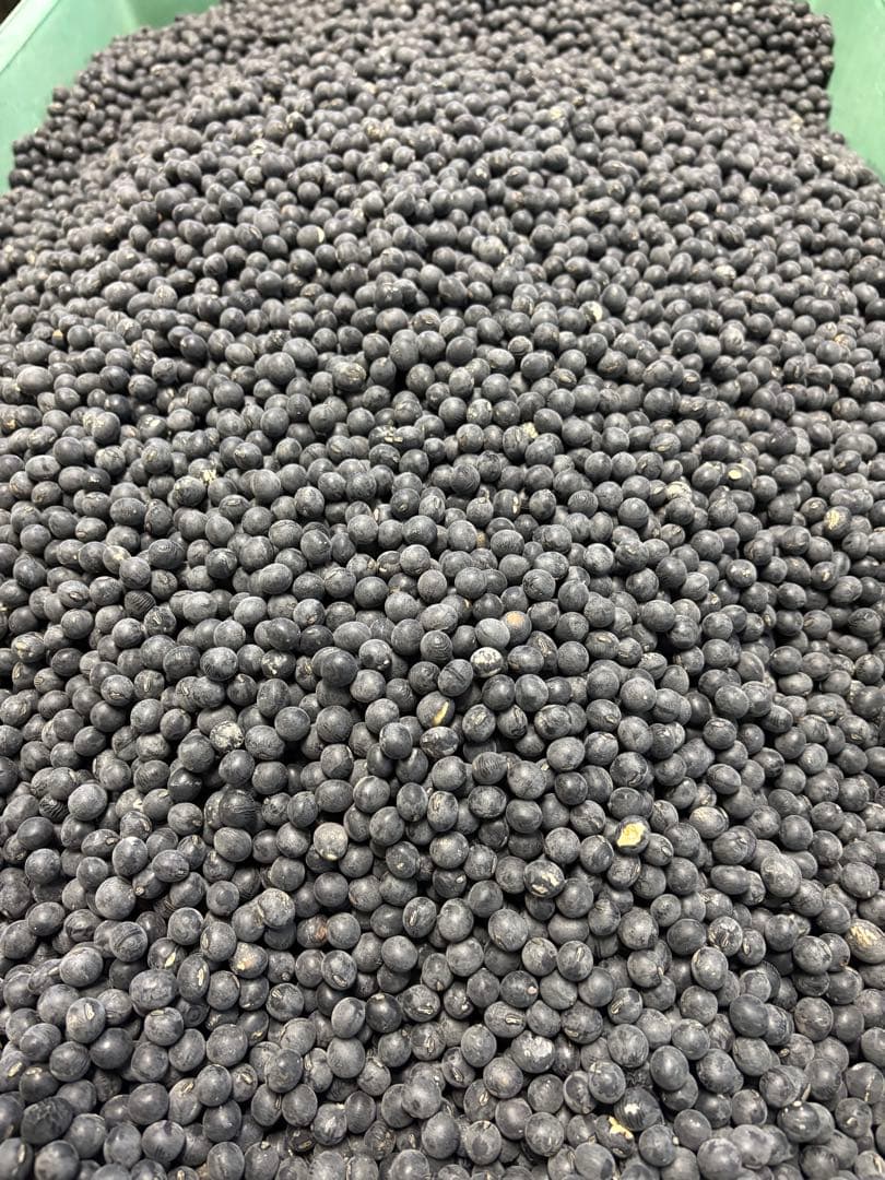 丹波篠山産黒豆　令和7年産　Ｌ〜２Ｌ　３ｋｇ　mnm