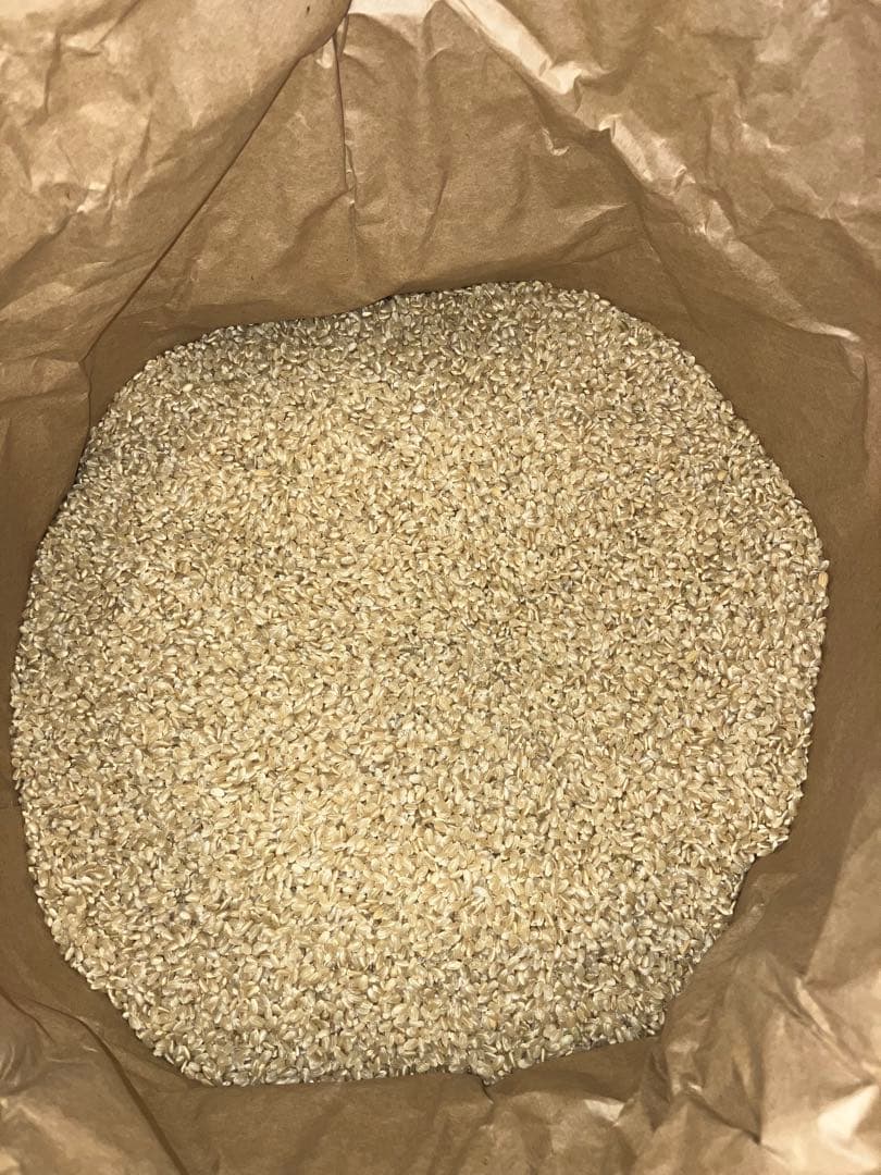 農家直送　10キロ　精米　令和7年産コシヒカリ　福島県産③