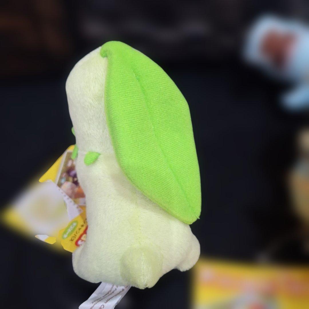 ポケモンセンター　キャンバス　チコリータ　ワニノコ　ヒノアラシ　ぬいぐるみ