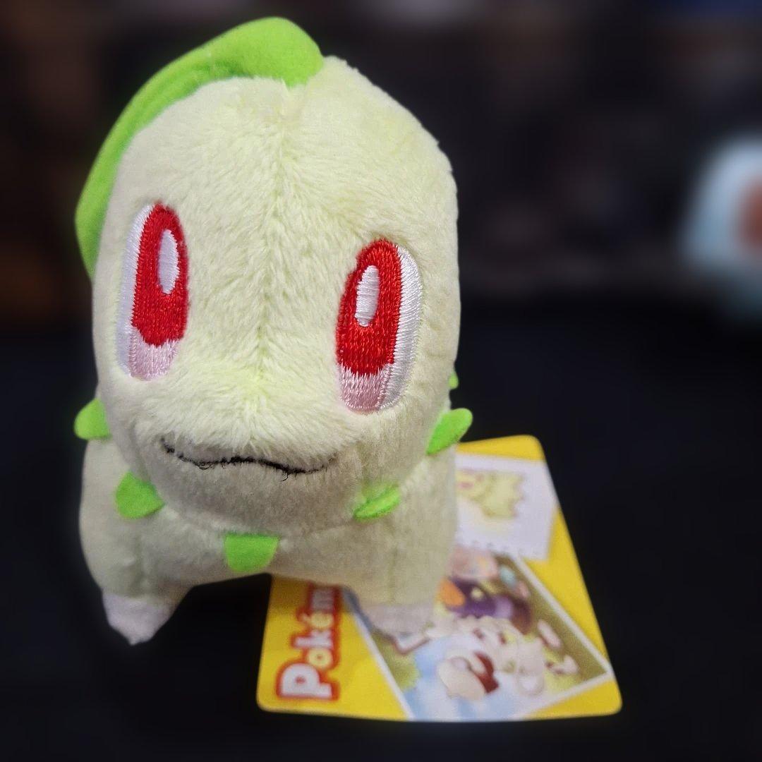 ポケモンセンター　キャンバス　チコリータ　ワニノコ　ヒノアラシ　ぬいぐるみ