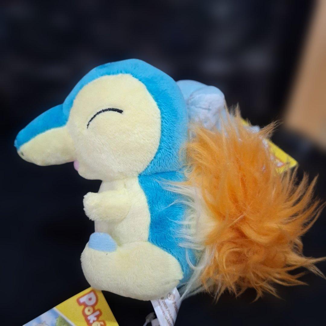 ポケモンセンター　キャンバス　チコリータ　ワニノコ　ヒノアラシ　ぬいぐるみ