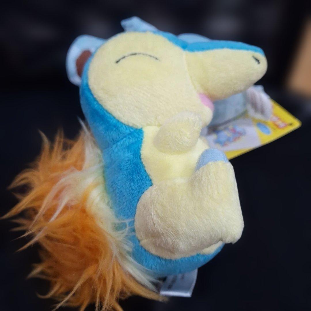 ポケモンセンター　キャンバス　チコリータ　ワニノコ　ヒノアラシ　ぬいぐるみ