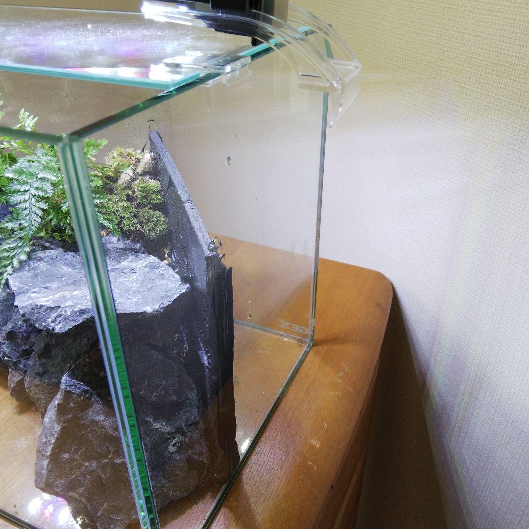 【完成品】滝のあるアクアテラリウム　イモリウム　苔テラリウム　アクアテラリウム