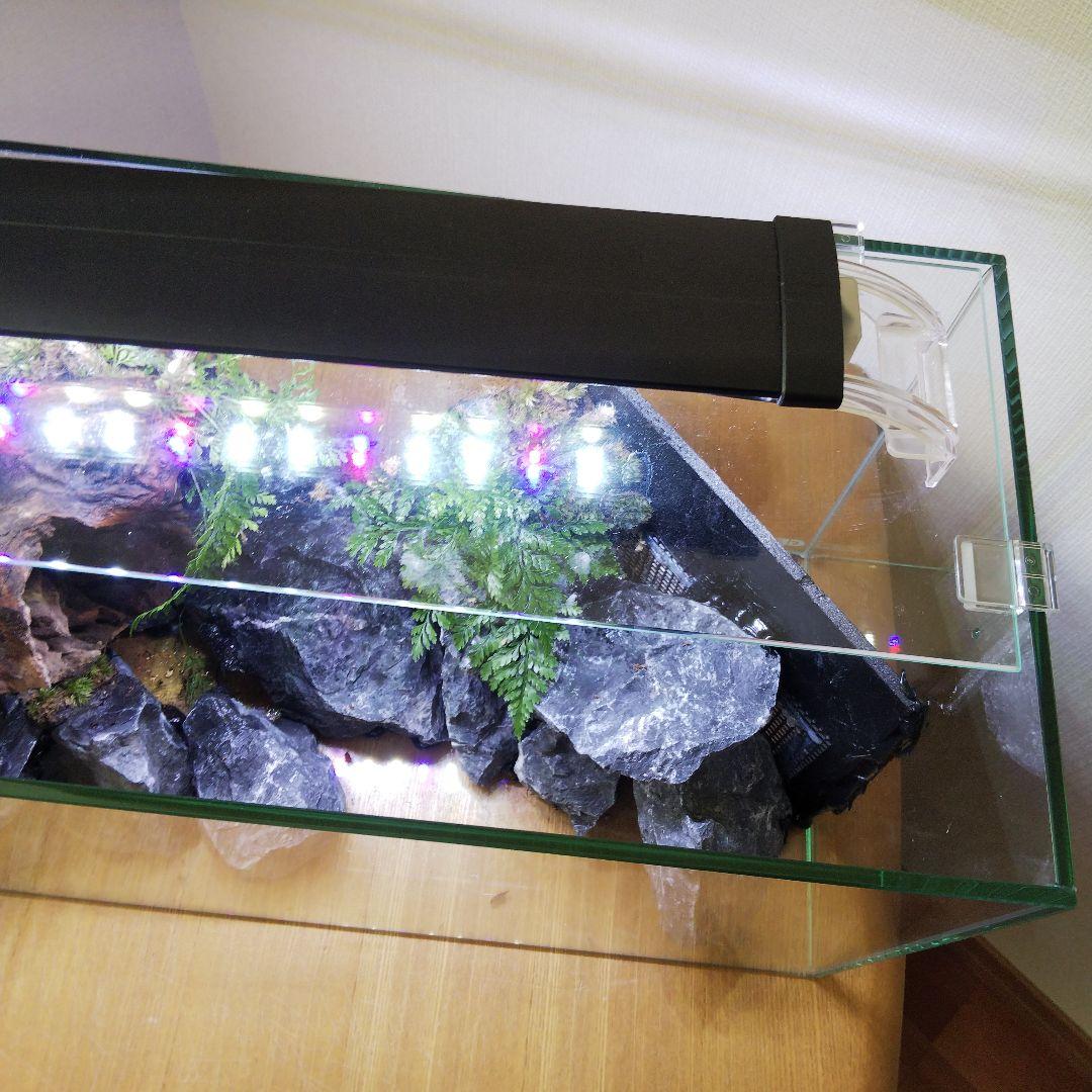 【完成品】滝のあるアクアテラリウム　イモリウム　苔テラリウム　アクアテラリウム