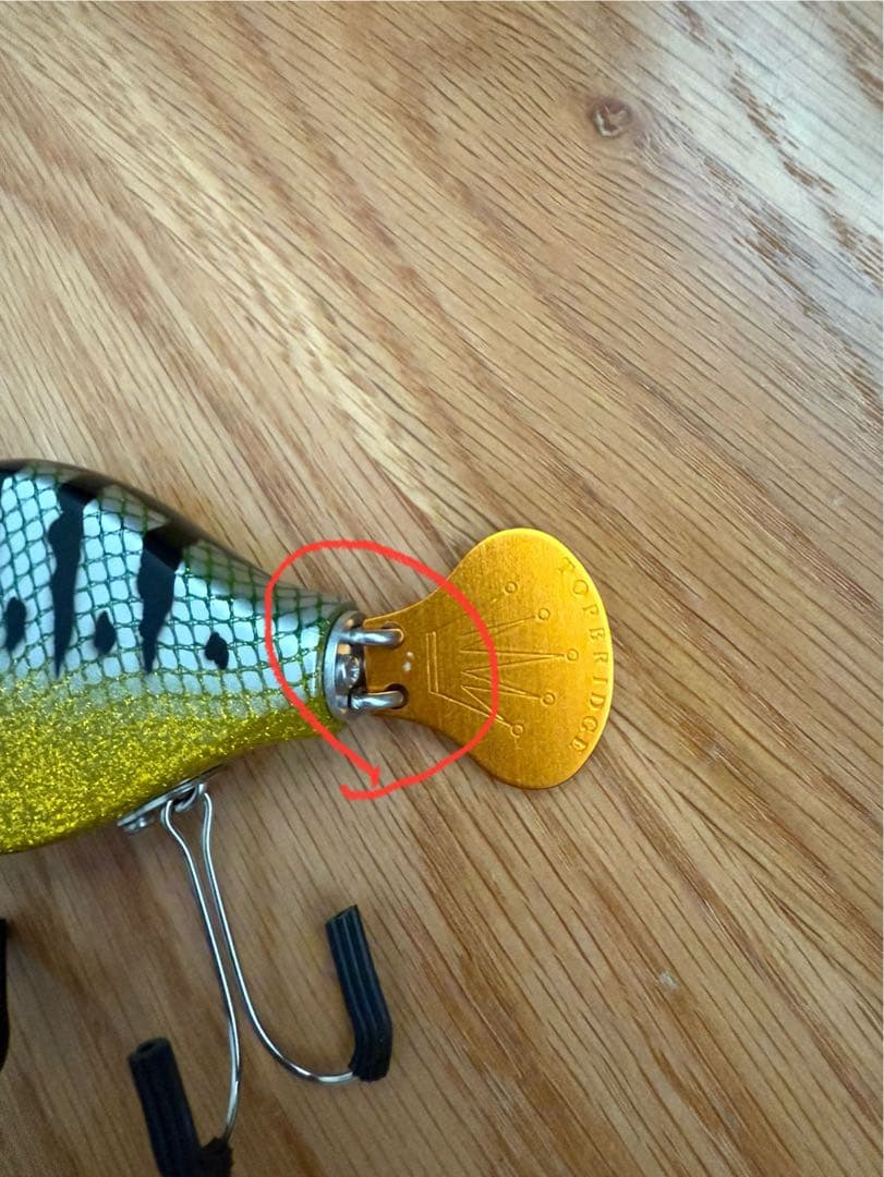 トップブリッジ　FLAT ARAPAIMA