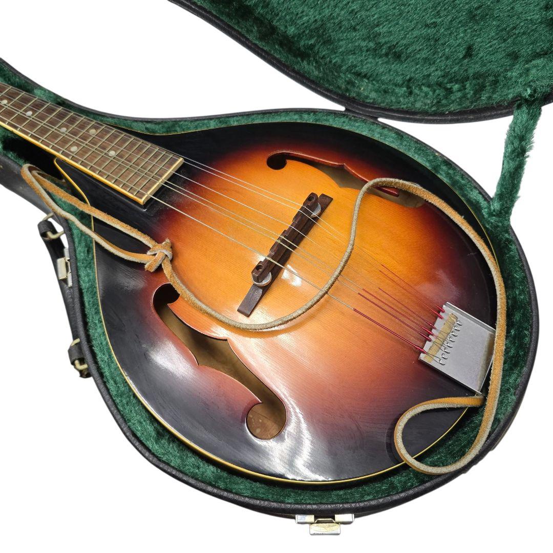 値下げjumbo ジャンボ フラットマンドリン ハードケース付