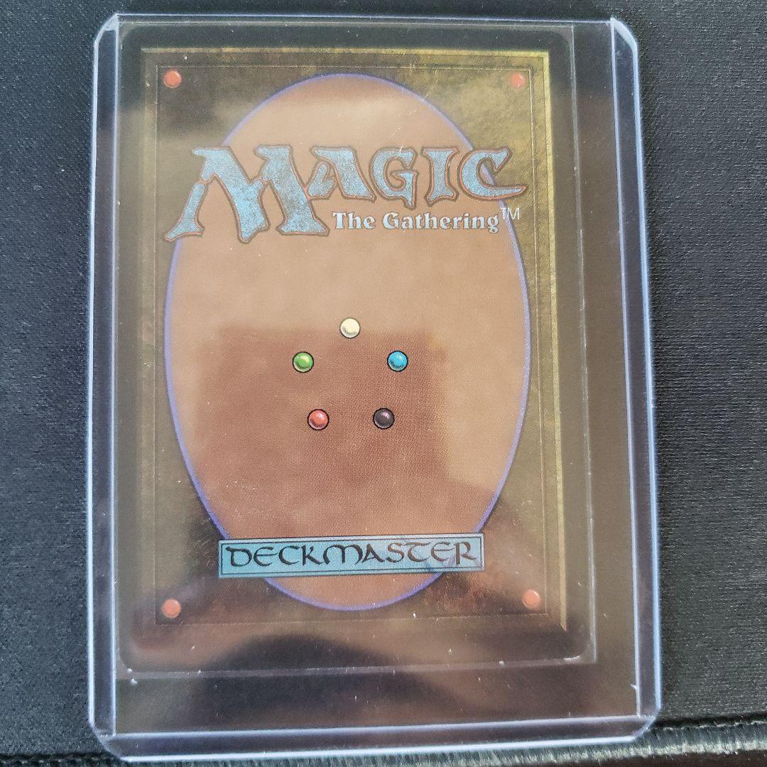 r*o様 適者生存 マジック：ザ・ギャザリング