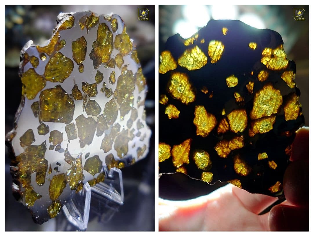 ★51.38g イミラック パラサイト 隕石 Imilac⭐⭐⭐