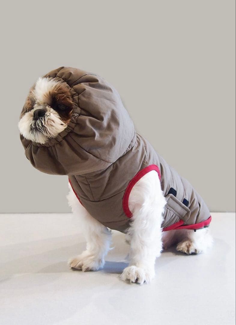  peak ドッグダウンジャケット