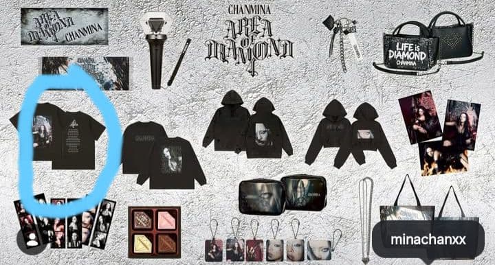 ちゃんみなライブTシャツLサイズ