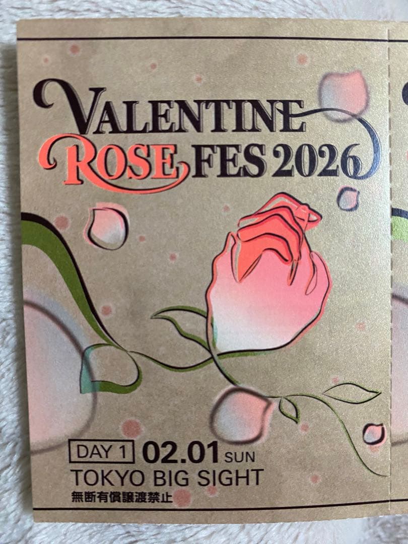 サーチケ 赤ブー 2/1