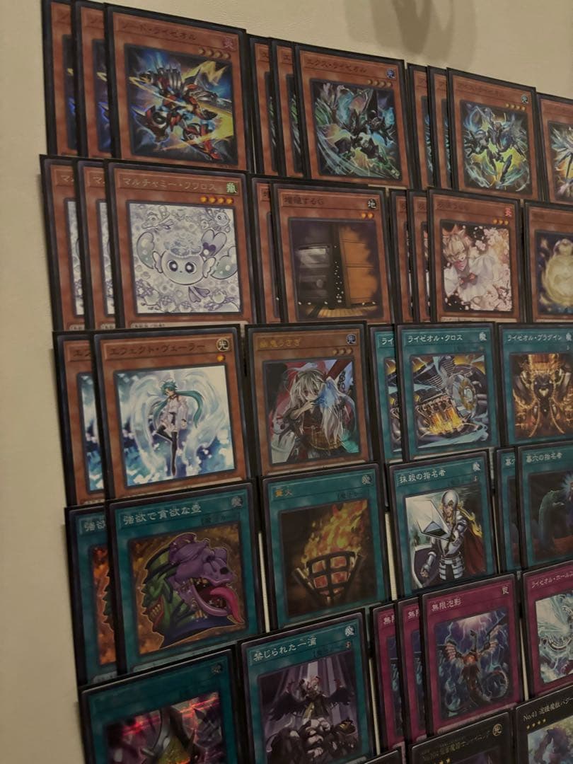 ライゼオル　大会構築　サイドスリーブ付き