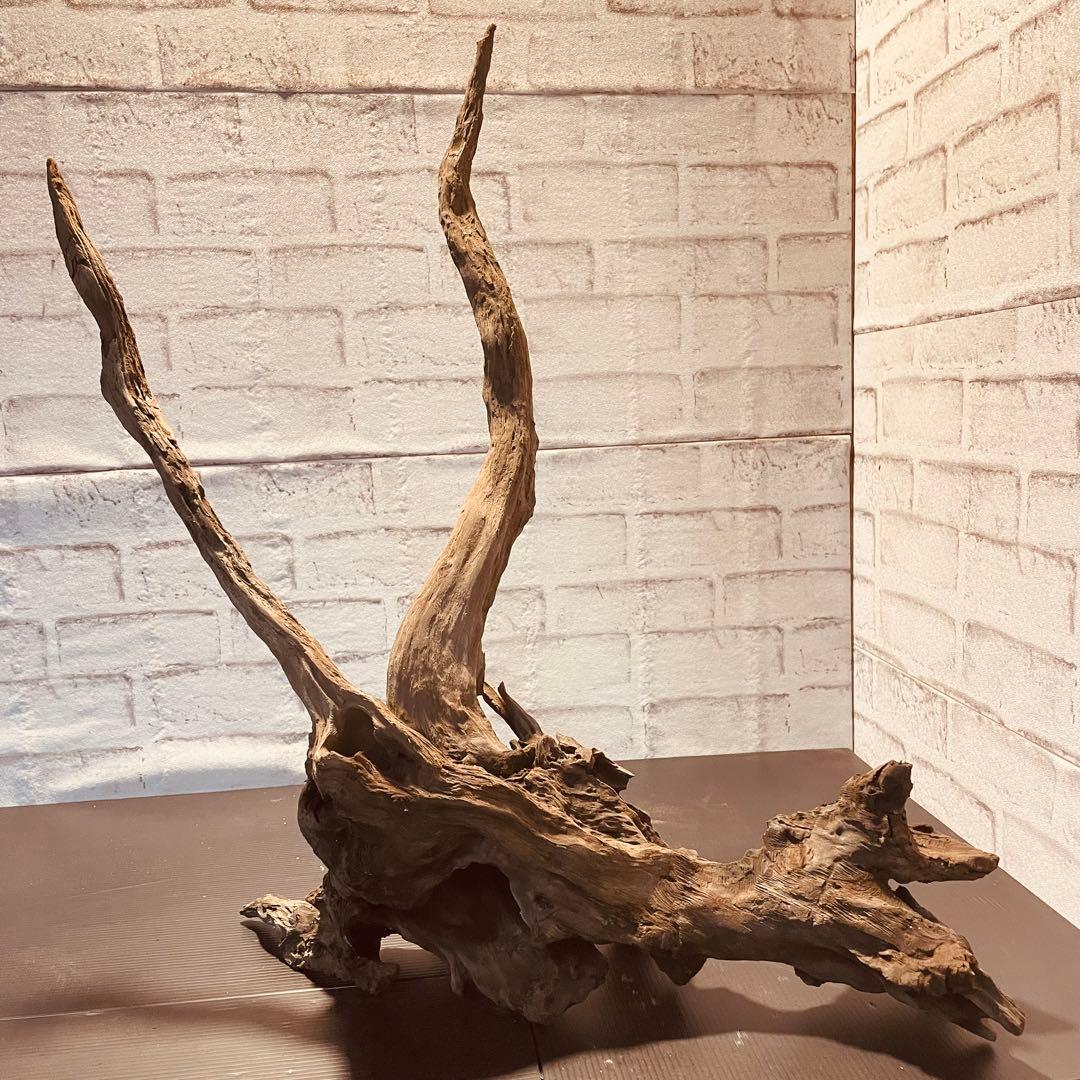 天然流木233 アク抜き処理済み　沈水処理済み　ビオトープ　水槽レイアウト