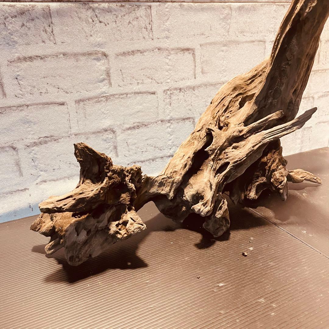 天然流木233 アク抜き処理済み　沈水処理済み　ビオトープ　水槽レイアウト