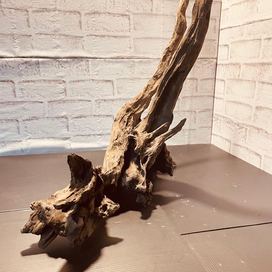 天然流木233 アク抜き処理済み　沈水処理済み　ビオトープ　水槽レイアウト
