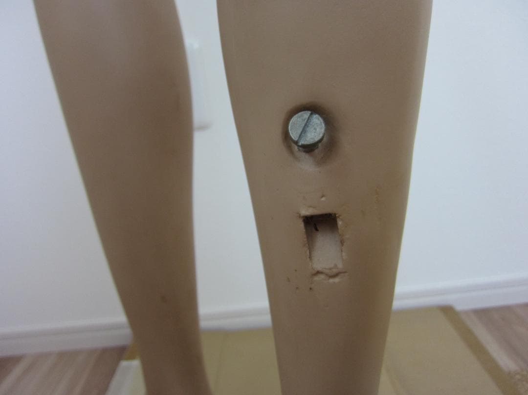 即購入✖️ 価格交渉◎ ≪直接取引≫ブロンズ　女性マネキントルソー