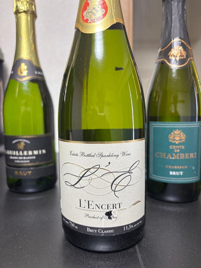 【13本セット・訳あり】スパークリングワイン詰め合わせ（フランス・イタリア他）