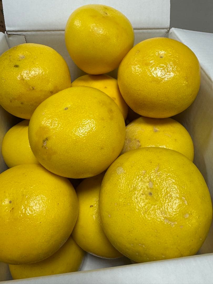 文旦　水晶文旦　みかん　好きに　　78