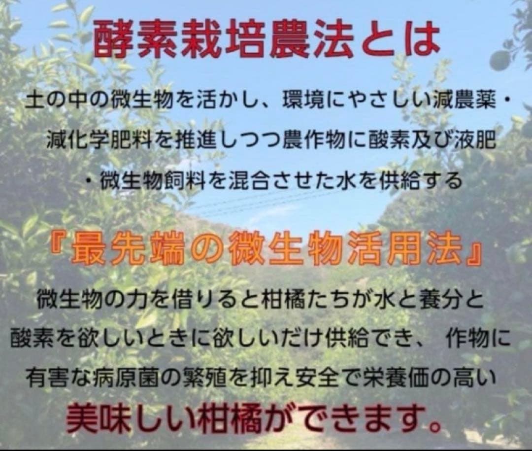 ひー様♡酵素栽培ネーブル &瀬戸田レモン　皮も食べてね　グリグリーン農園