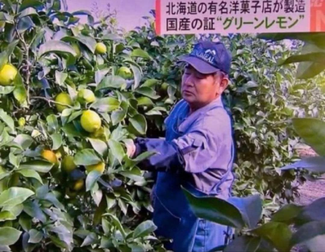 ひー様♡酵素栽培ネーブル &瀬戸田レモン　皮も食べてね　グリグリーン農園