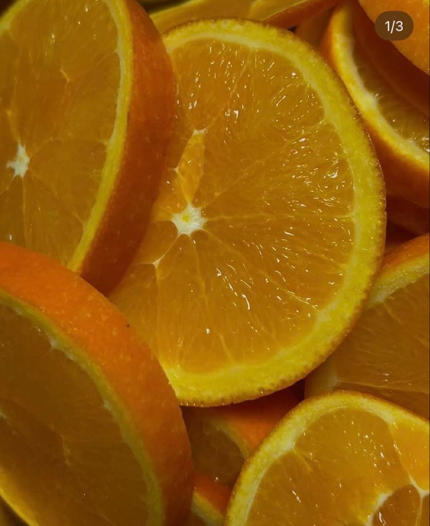 ひー様♡酵素栽培ネーブル &瀬戸田レモン　皮も食べてね　グリグリーン農園