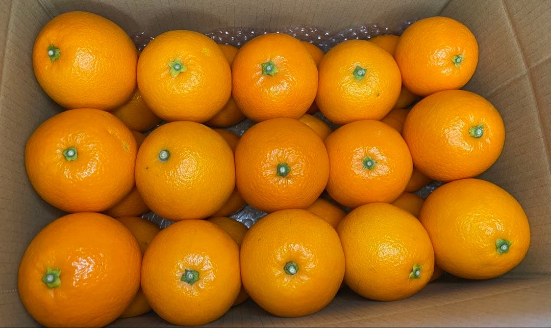 ひー様♡酵素栽培ネーブル &瀬戸田レモン　皮も食べてね　グリグリーン農園