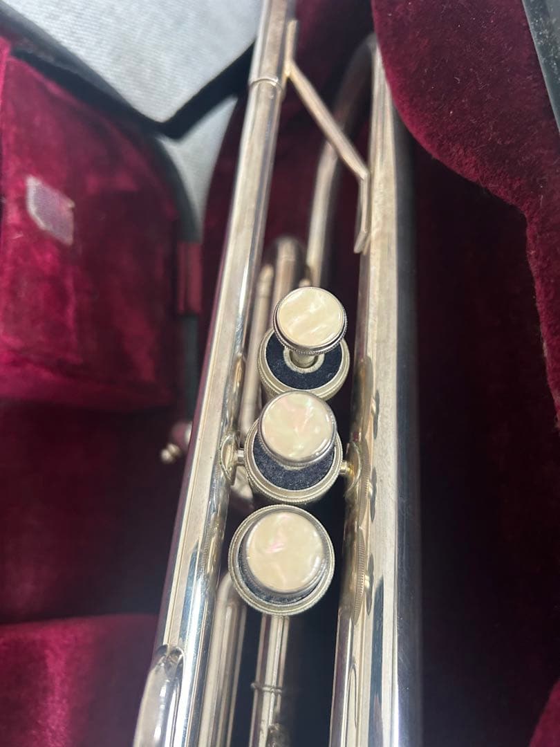 Stafford Wind TR-2349 モデル / B♭管（極上品)