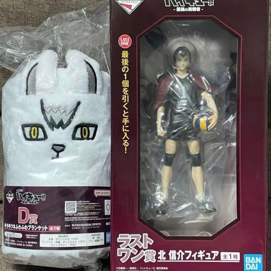 一番くじ ハイキュー 最強の挑戦者 D賞 ラストワン賞 北信介