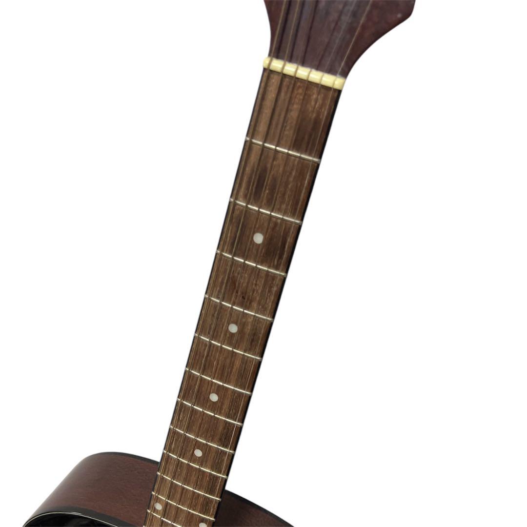 【CoCo様】Takamine アコースティックギター タカミネ T-F0TBS