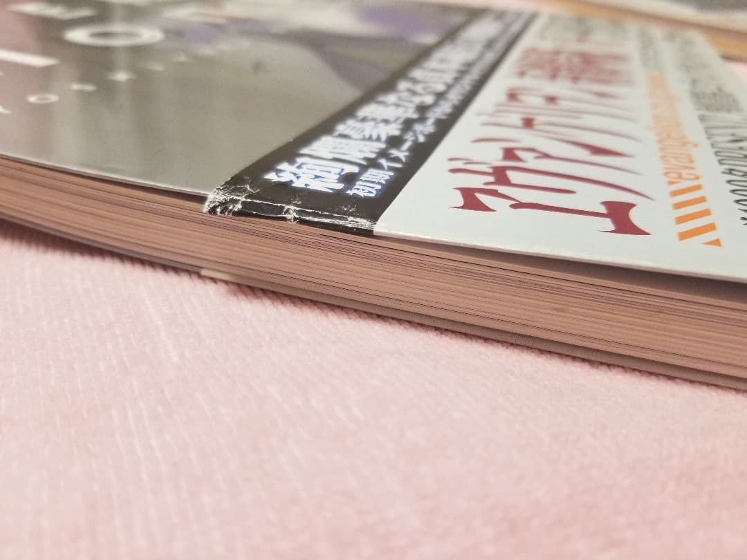 おまけ付き エヴァンゲリオン 貞本義行 画集 まとめ売り