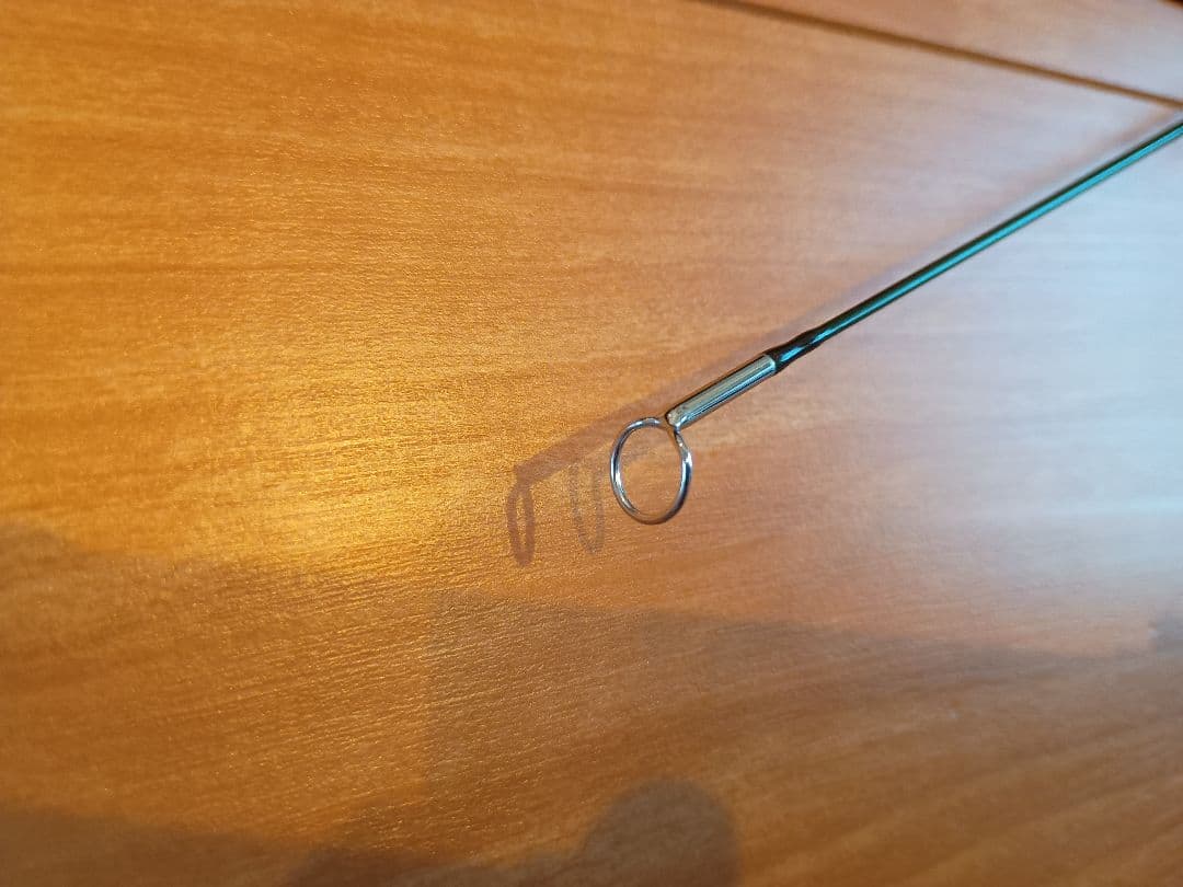 ロッド SAGE SONIC SWITCH 11'6\" #7 7116-4