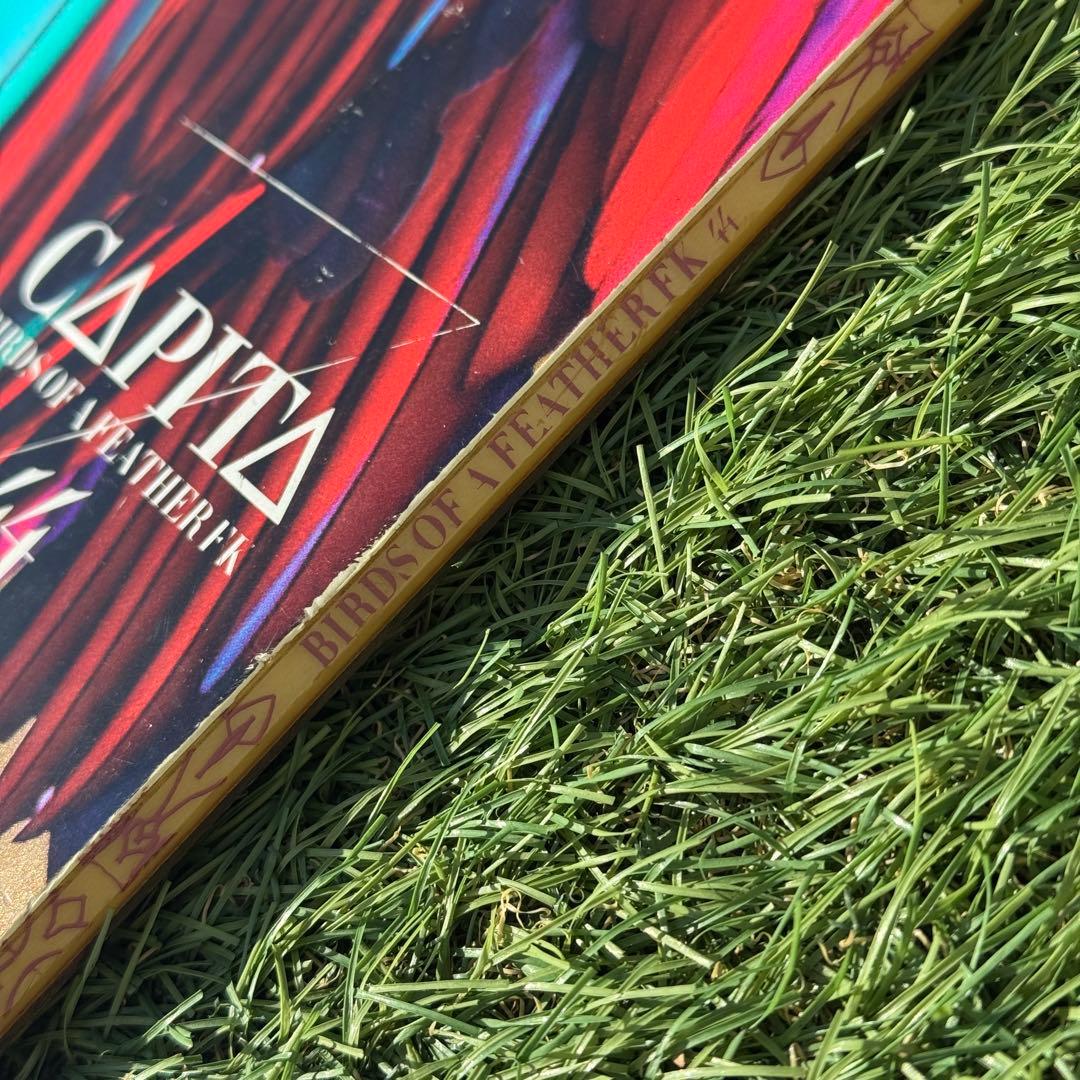 スノーボード CAPiTA Birds of a Feather 13/14 144cm