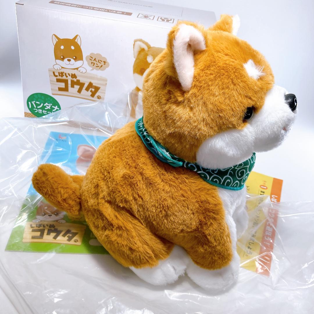 しばいぬコウタ バンダナつきセット こんにちワン！しばいぬ コウタ　|4007|