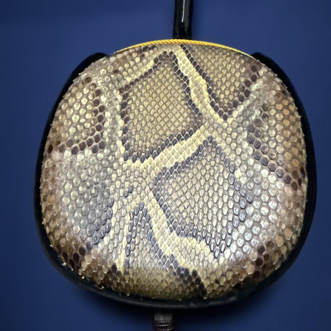 三線 ソフトケース付き（三線はニシキヘビの蛇皮）