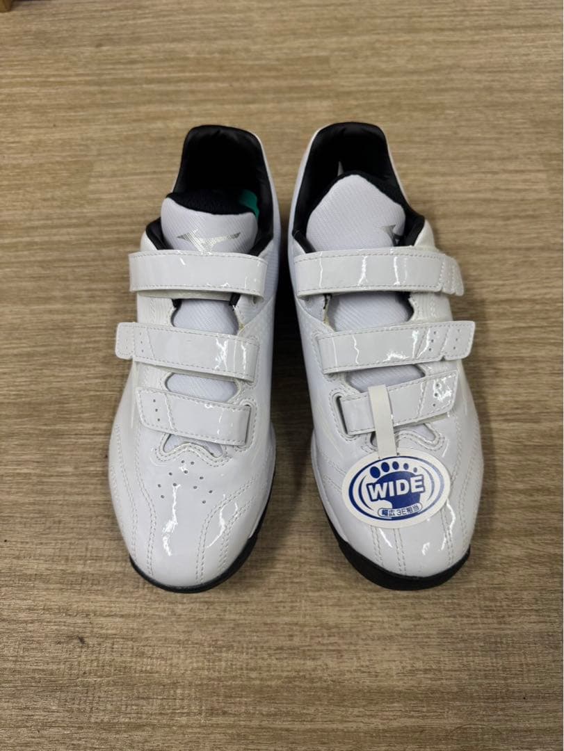 トレーニングシューズ MIZUNO ミズノ 11GT222001 25.5㎝