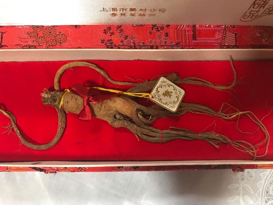 高麗人参☆30年以上