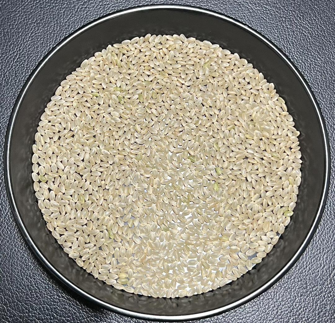 一等検査 特別栽培米 玄米 令和7年産 京都 丹後 コシヒカリ 20kg