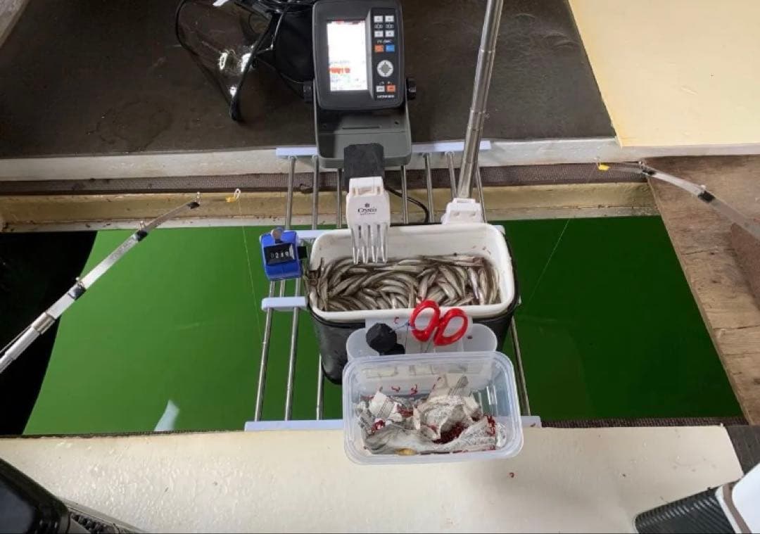 ワカサギ　ステンレス穂先　全長約220ミリ　2本