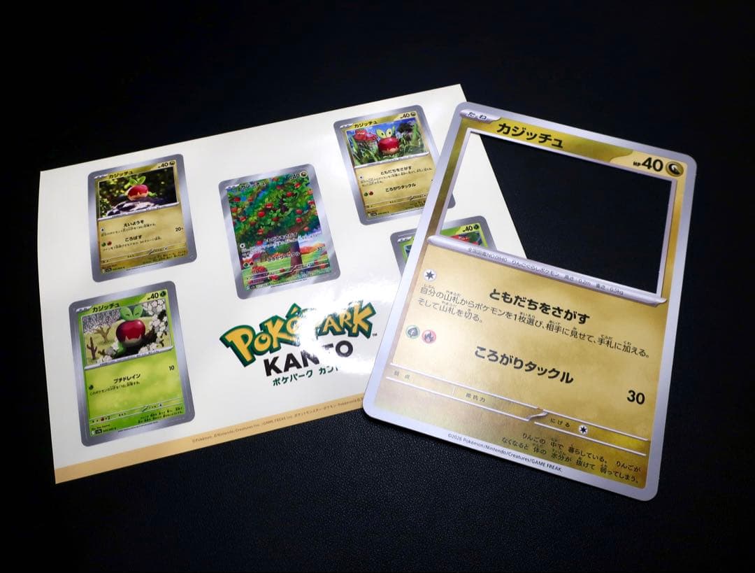 ポケパーク ポケパークカントー ピンバッジ ピンズ 19個セット 被無 おまけ付