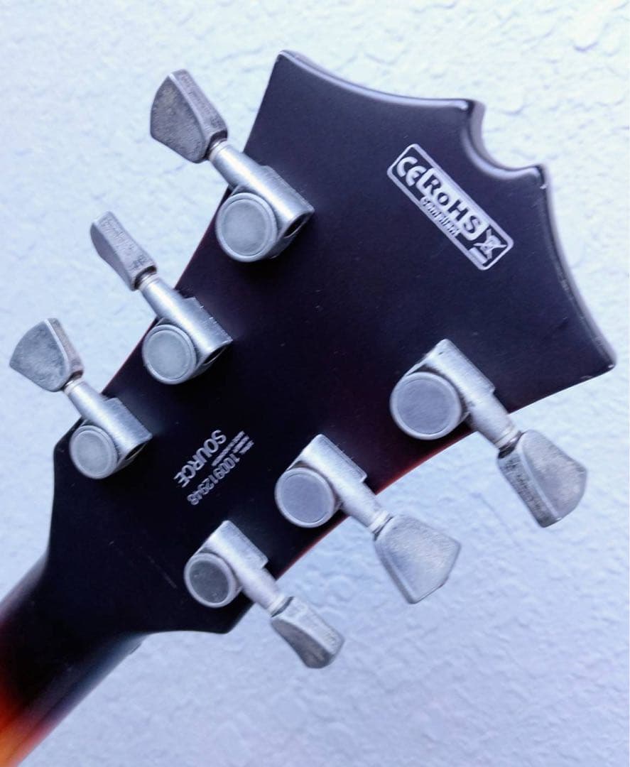 Cort Source 335 セミアコ