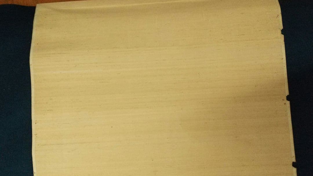 宋紫石　人物画　絹本掛軸　真贋不明