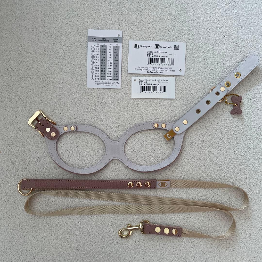 試着のみ　バディーベルト ラテ3号 正規品