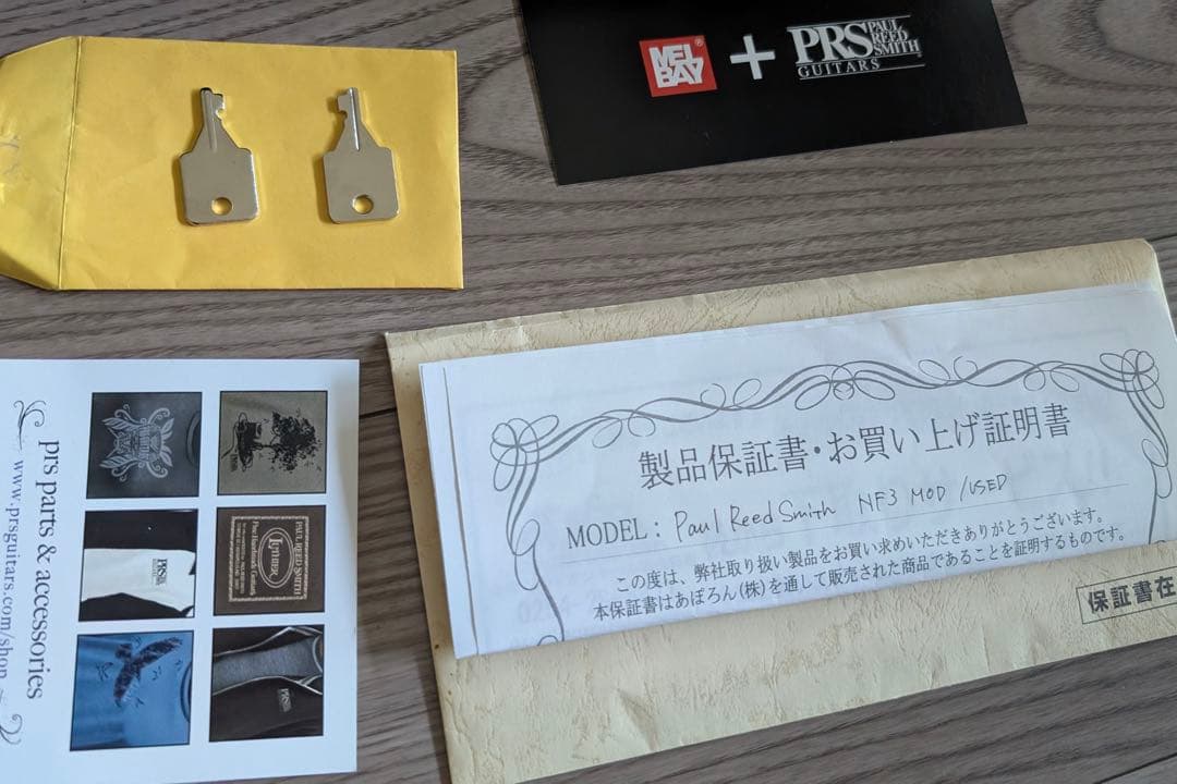 PRS NF3 MOD / カスタムメイド BRENT MASON（アメリカ製）