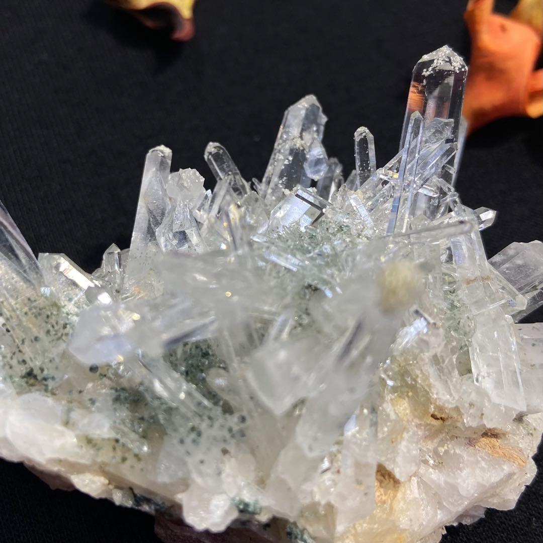 コロンビアレムリアンクラスター