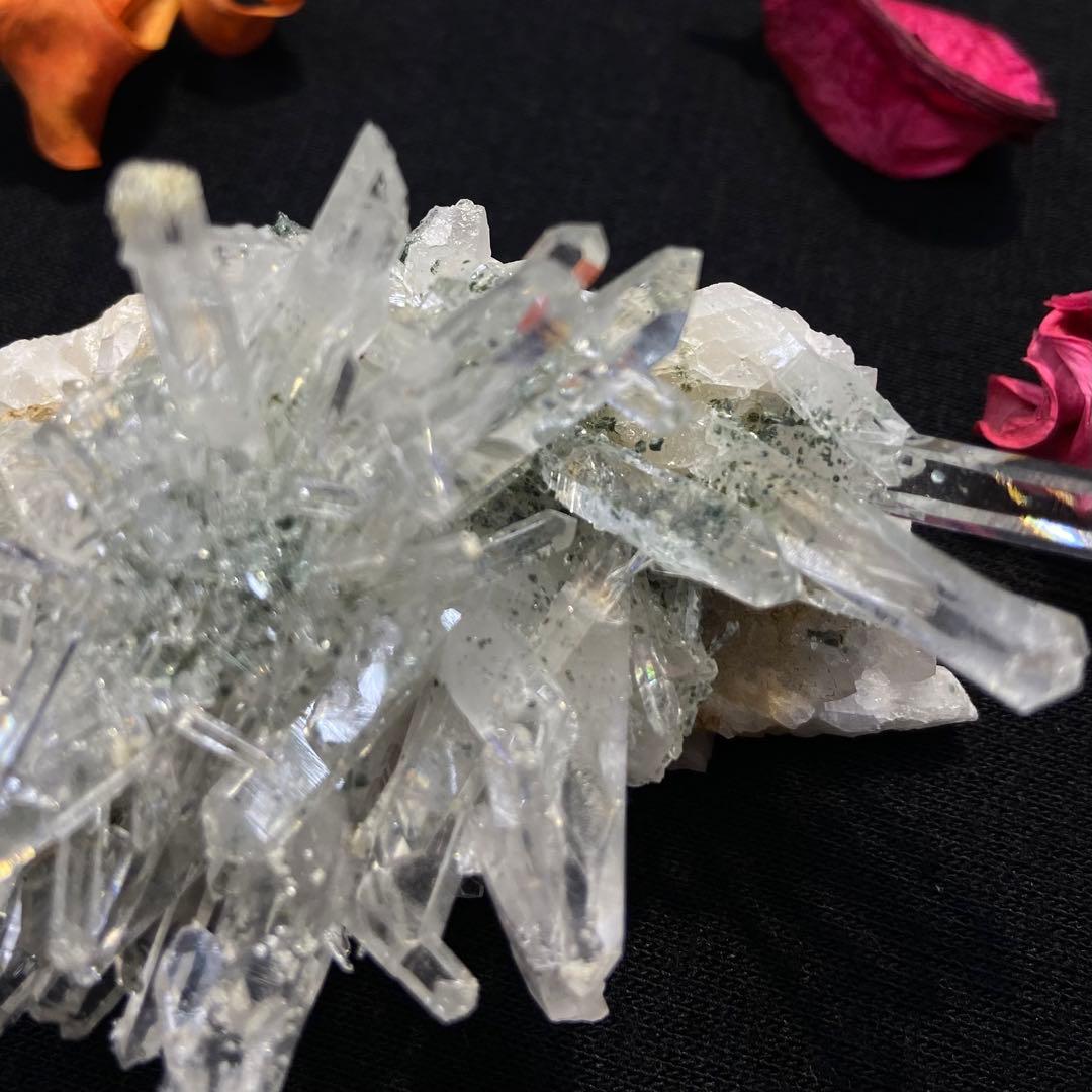 コロンビアレムリアンクラスター