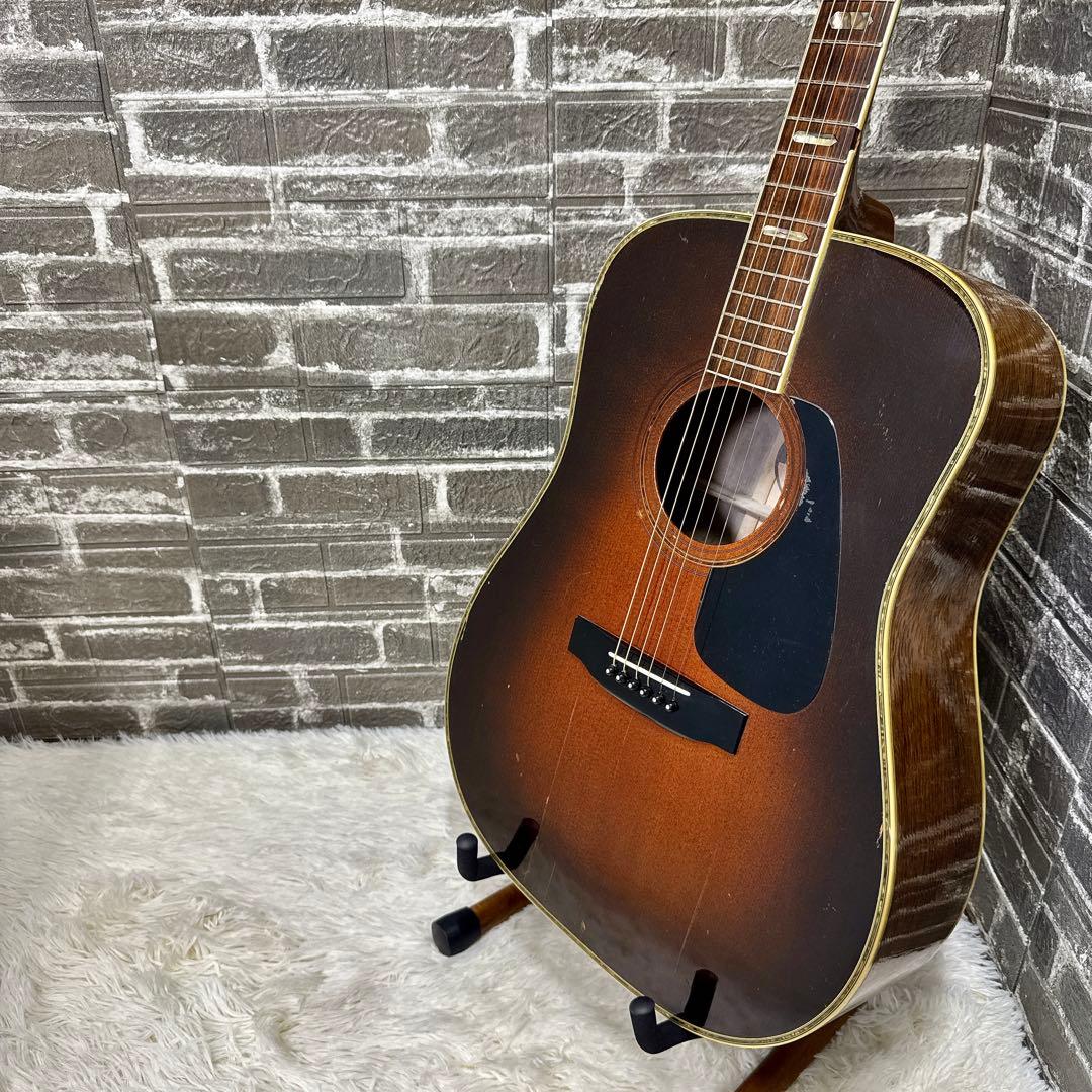 MORRIS TF-801 ハカランダ アコースティックギター